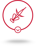 product-ok-2
